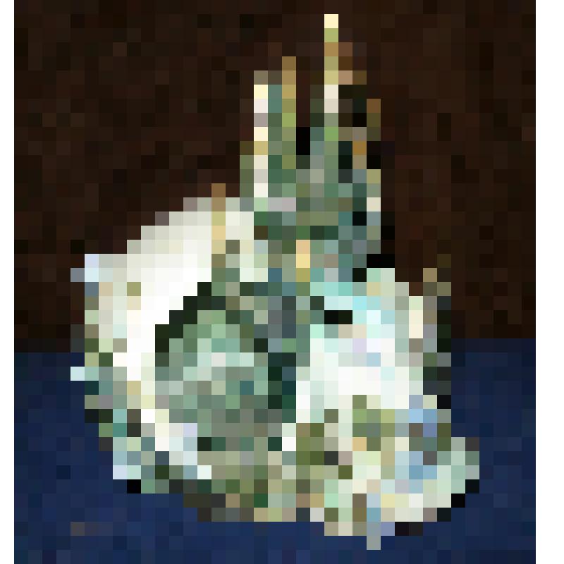 Реквием (В списках не значится)