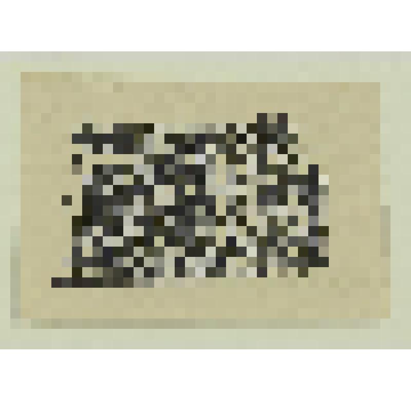 Иллюстрация к "Шпиону" Э. Золя, гравюра