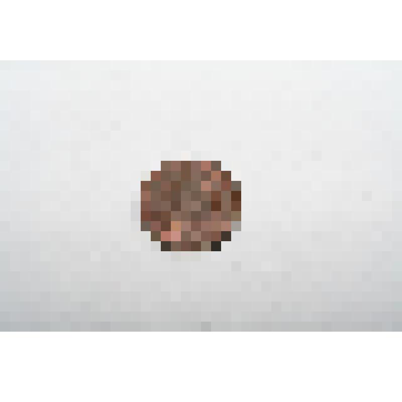 Монета "1 фын"