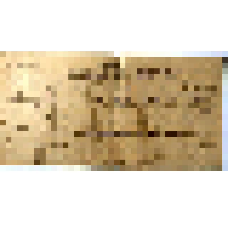 Ведомость на выдачу заработной платы учителям Зырянская корейской школы за декабрь 1951 год, Ли Тен Дон, Сахалинский ОблОНО планово-финансовый сектор