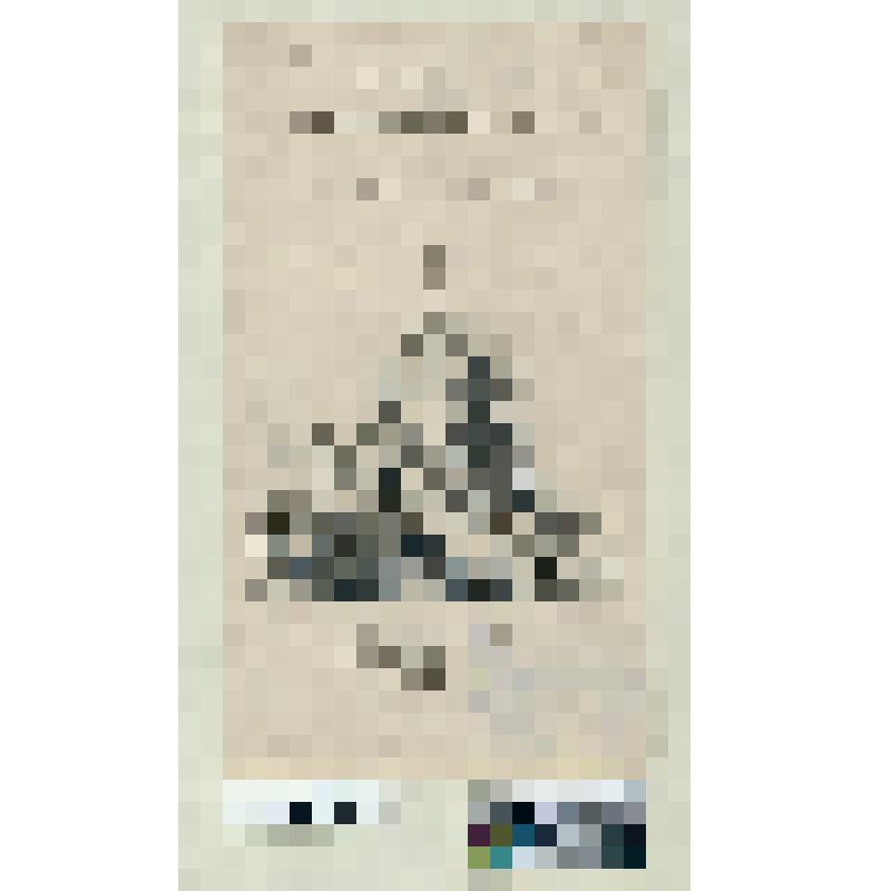 Титульный лист "Taferulen van de Staatsomwen teling in Franrijk Twaalfde dul". "Te Amsterdam, bij Johunnes Allart, MDCCCI"