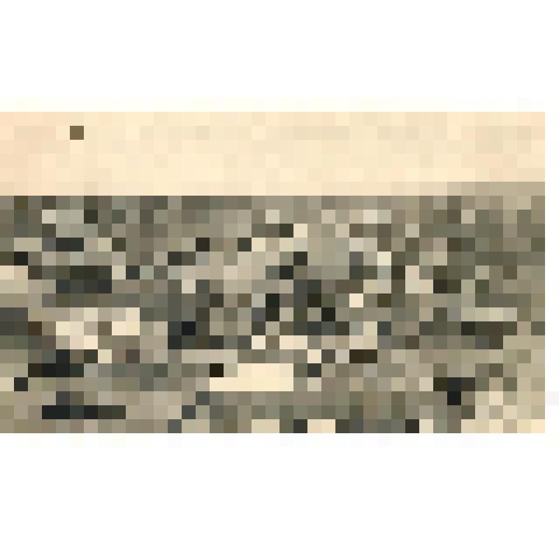 Почтовая карточка. "Сызрань. Вид с птичьего полета на главную часть города"