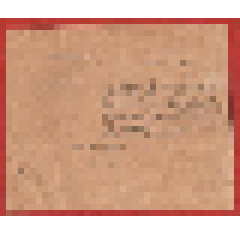 Удостоверение №2919 от 21 декабря 1917г. Варавы Антона Григорьевича о получении им винтовки, револьвера-нагана, шашки №64182 и 78 шт. боевых патронов