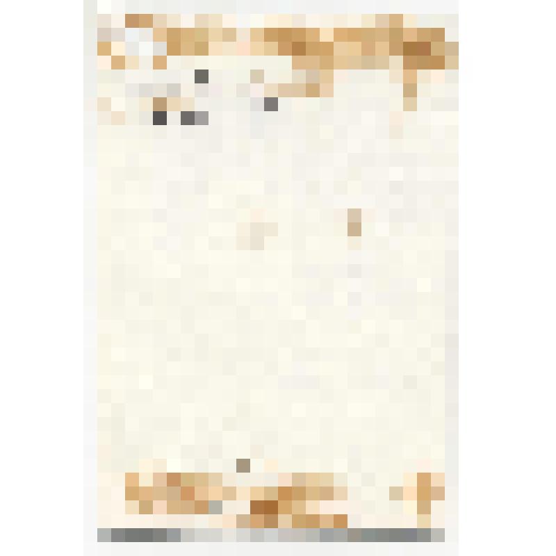 Фотография. Страничка дневника Звенигородского И.А