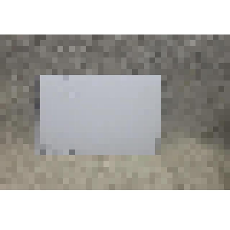 Фотография цв. Камень в еловой роще Павло-Обнорского монастыря