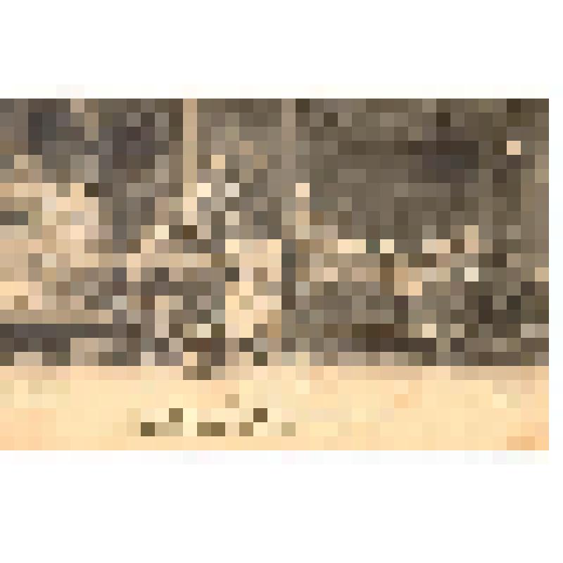 Открытка. М.Горький "На дне". МХТ. Сцена из 4 действия