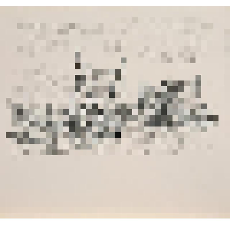 Сушка сетей. Рисунок