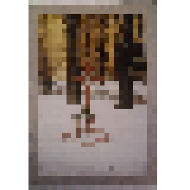 Фотоподборка. Крест, поставленный в память стоявшего на этом месте храма Пресвятой Богородицы л-гв. Семеновского полка