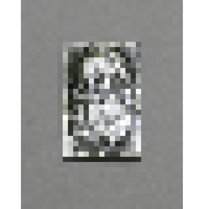 Значок "Л.Н.Толстой"