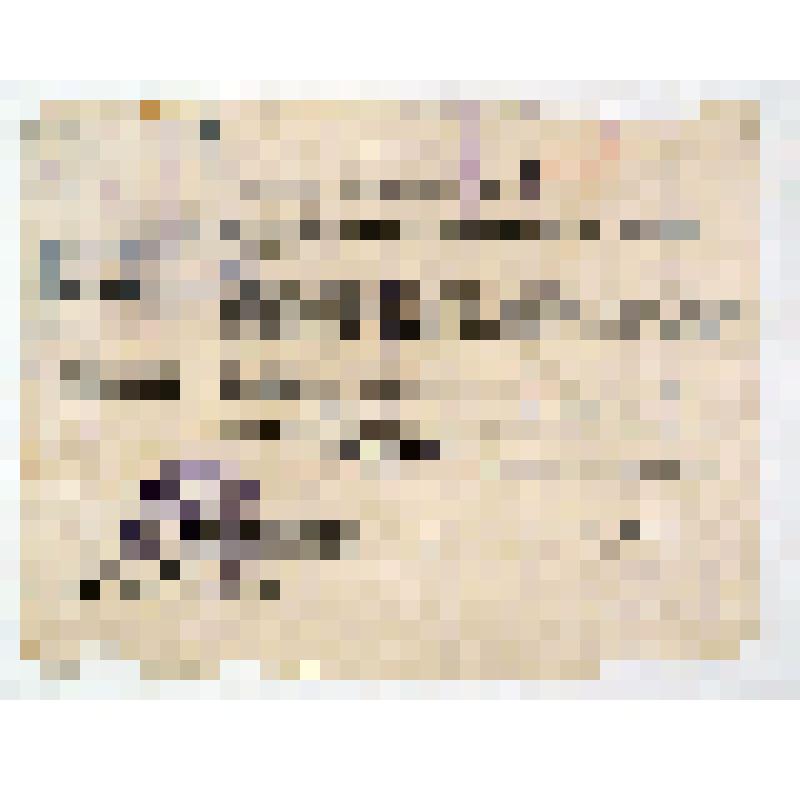 Выписка из протокола № 3 заседания Курганской городской комиссии Красных партизан от 10.03.1935г. о рассмотрении личного дела Гребенщикова Ивана Андреевича