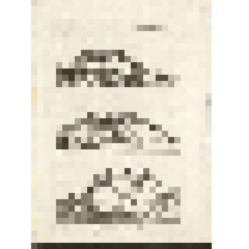 "Histoire Naturelle. Pl. X. Fig. 1. Le Fourmilier. Fig. 2. Le Pangolin. 3.Le Phatagin." Antonio Baratti sc. Гравюра
