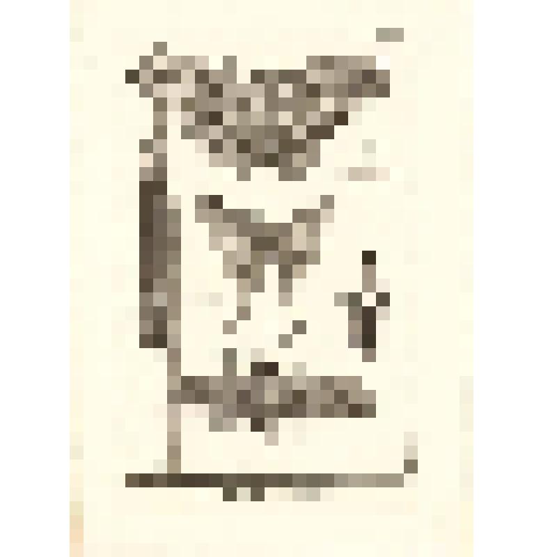 "Histoire Naturelle. Pl. LXXXII (82).  Insectes. Monaco s. Гравюра