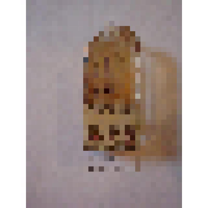 Флакон из-под одеколона с изображением Л.Н.Толстого