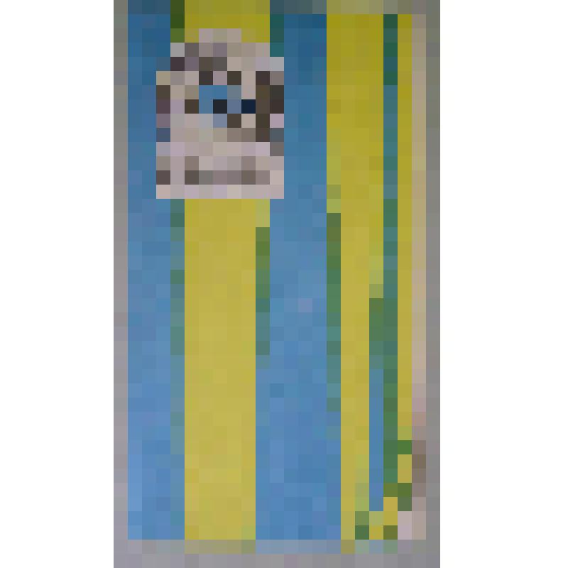 Программа. "Зеленая лисица" (Режиссер - Офрихтер В.Д. Художник - Стенинг В.К.). Пермь, Театр кукол