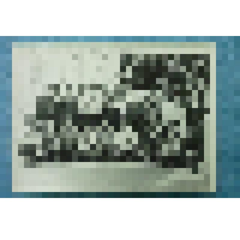 Фотография групповая