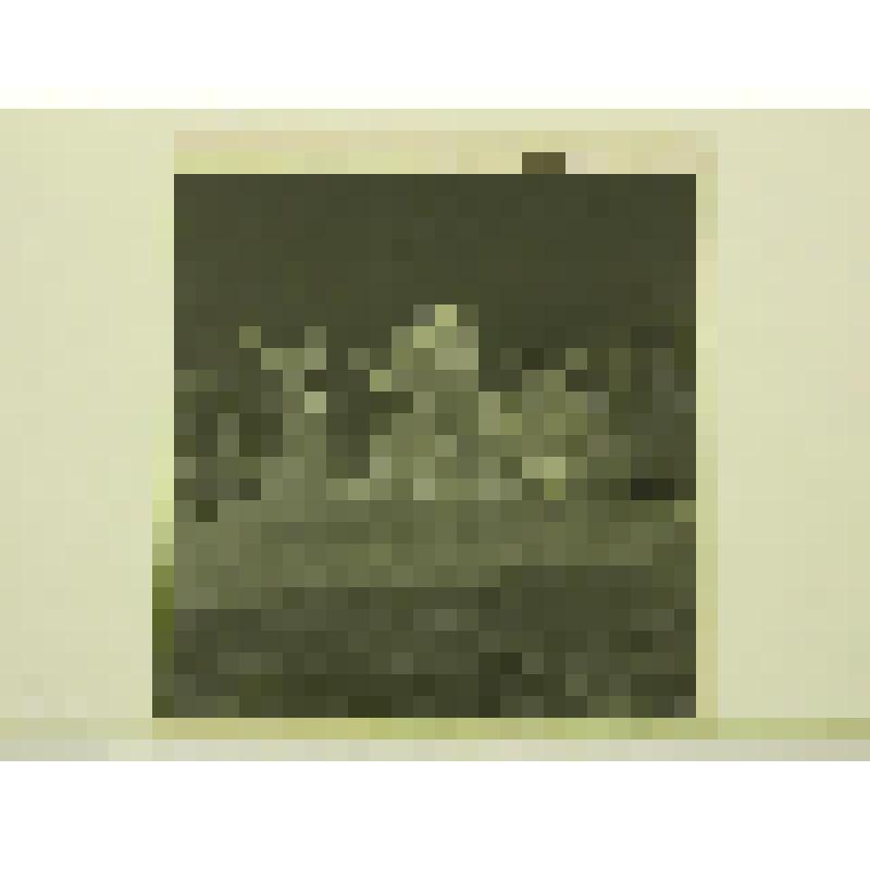 Памятник героям революции 1905-1907 гг. 1981г, г. Москва. Памятник героям революции 1905-1907 гг. Иконников О. А. Общий вид