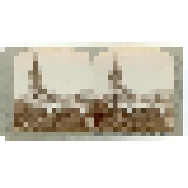 Собор. Испания. Кордова. Собор. Колокольня, ворота Прощения, Апельсинный двор. Underwood & Underwood