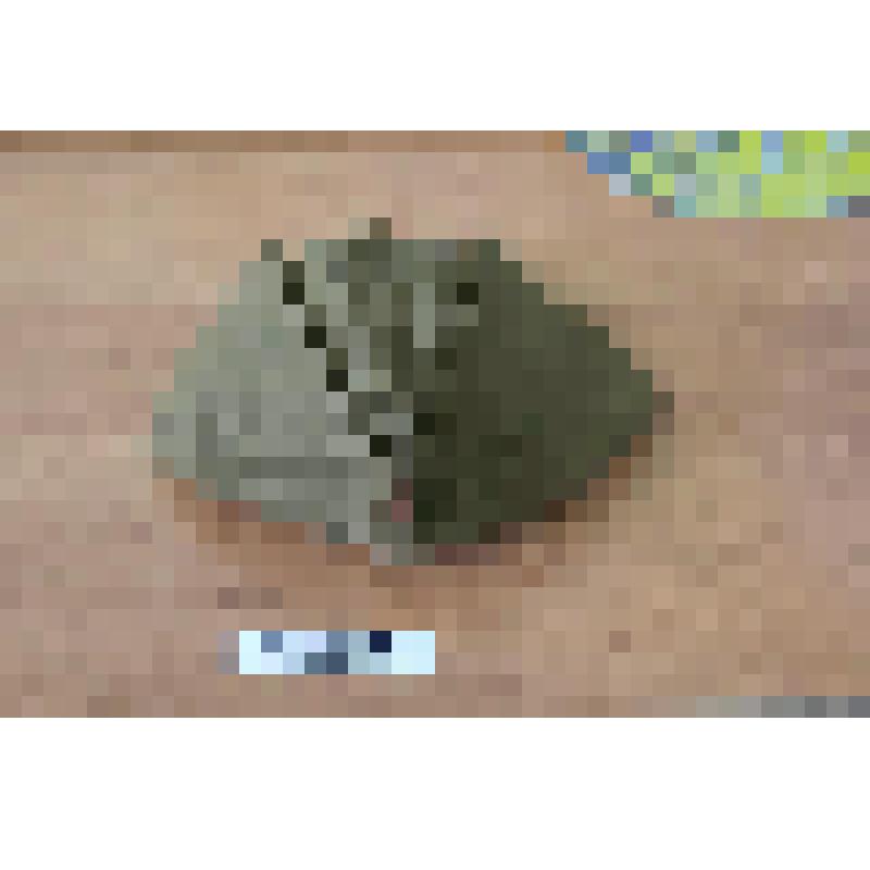 Обмундирование Советской армии. Пилотка солдатская защитного цвета со звездочкой повседневная