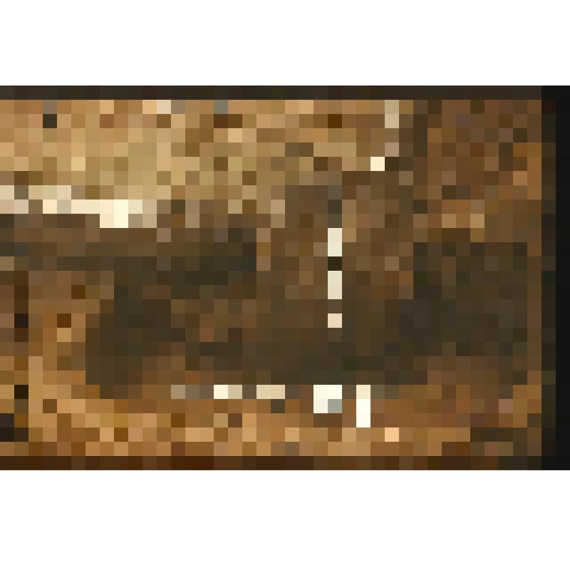 Диапозитив. Курган 7. Юго-восточный угол каменного ящика