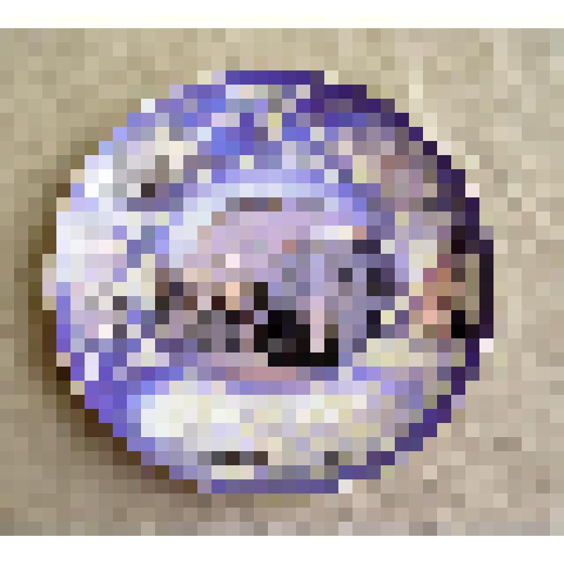 Тарелка сувенирная с логотипом и фотографией Ульяновского государственного университета. Принадлежала Полянскову Юрию Вячеславовичу, ректору УлГУ (1996-2006 гг.), президенту УлГУ, доктору технических наук, профессору