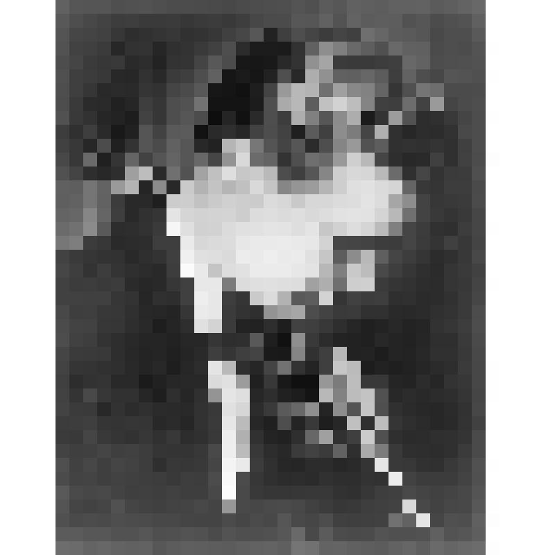 Негатив. Килберн М. - американский виолончелист