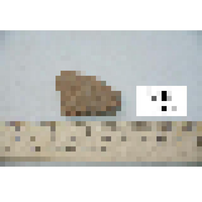 Фрагмент стенки сосуда