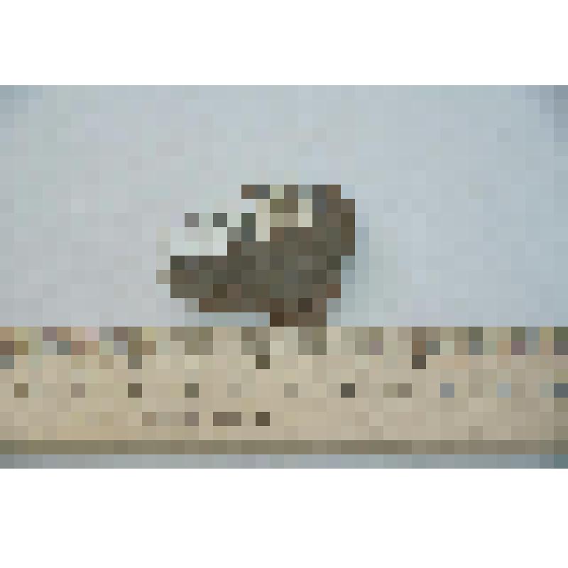 Фрагмент стенки сосуда