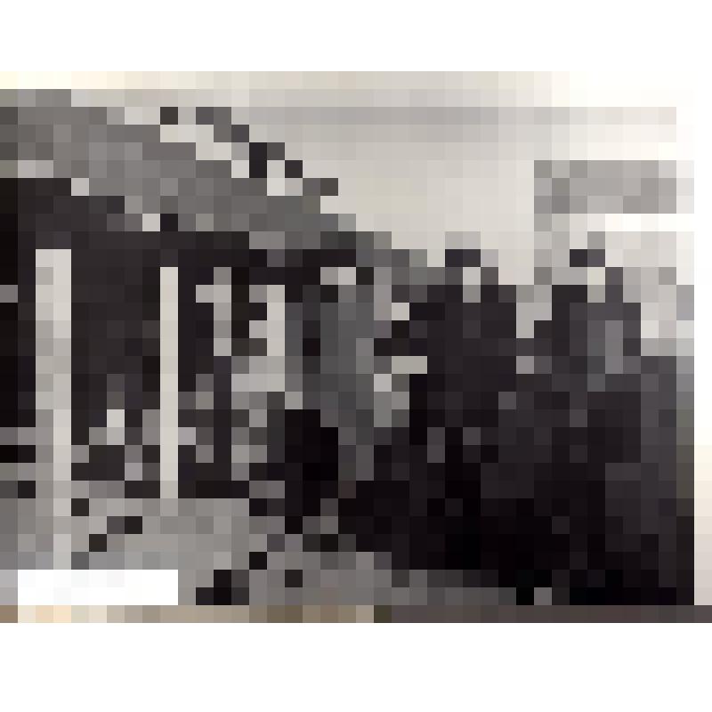 Фотоснимок. Территория Кирпичного завода