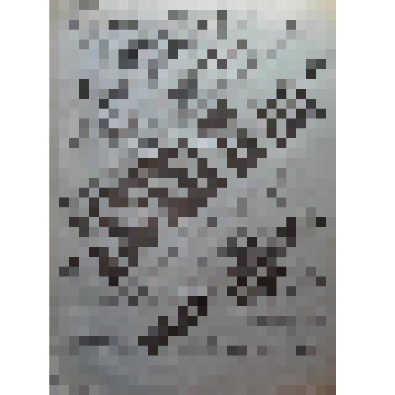 Афиша. "Девушка ХХ века". Абдулино, станция; Антреприза, Товарищество драматических артистов под управлением П.И. Вадимова