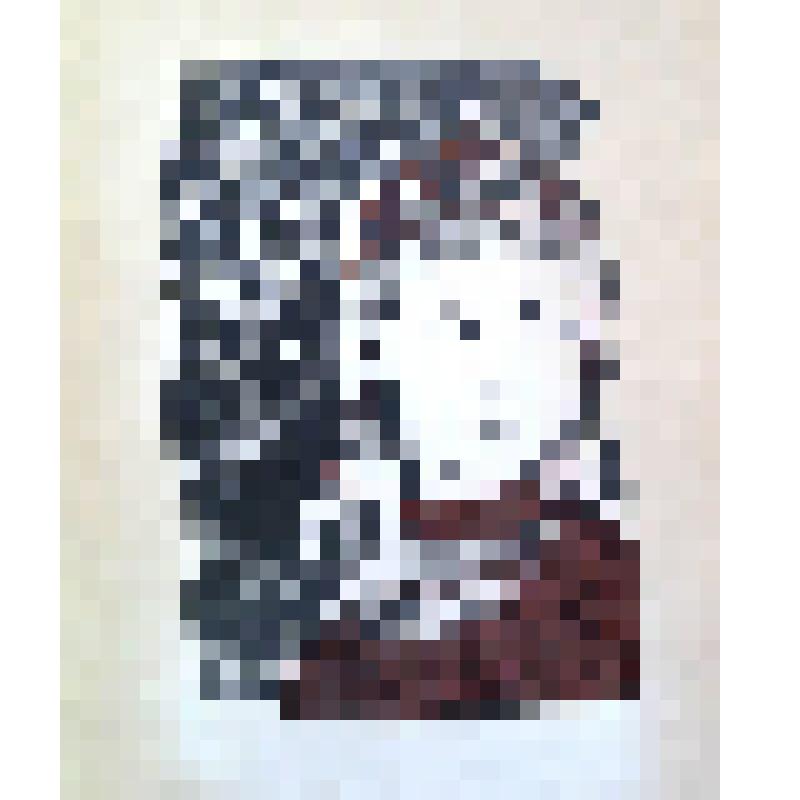 Иллюстрация к поэме "Нарспи" К.В. Иванова "Портрет Нарспи"