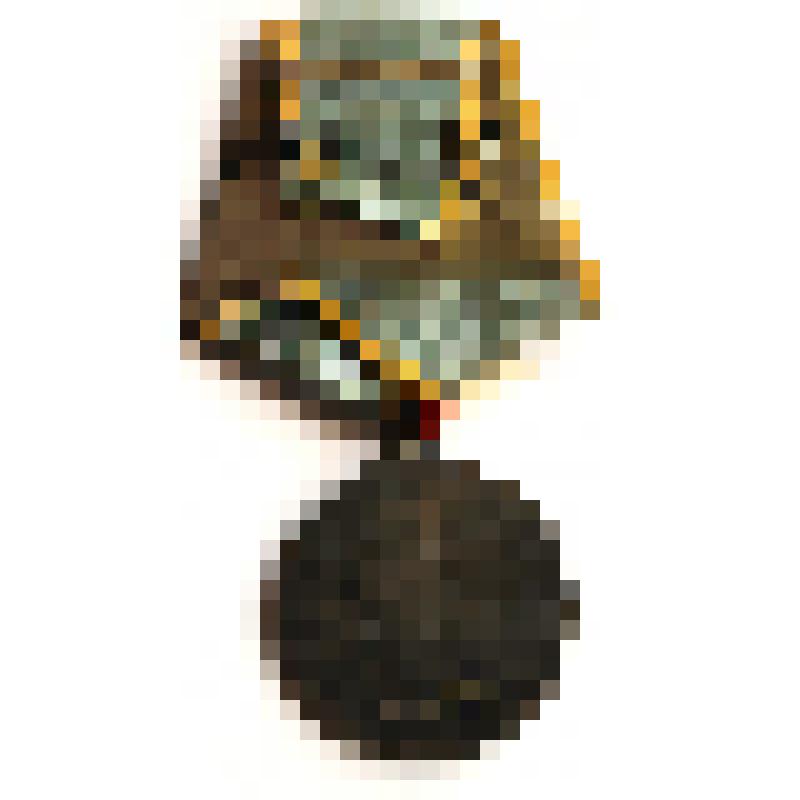 Медаль "За боевые заслуги" Григорьева Николая Константиновича