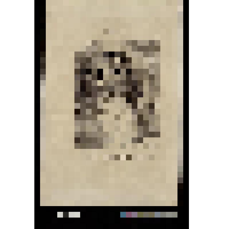 Двое пожилых мужчин и две девушки в парке