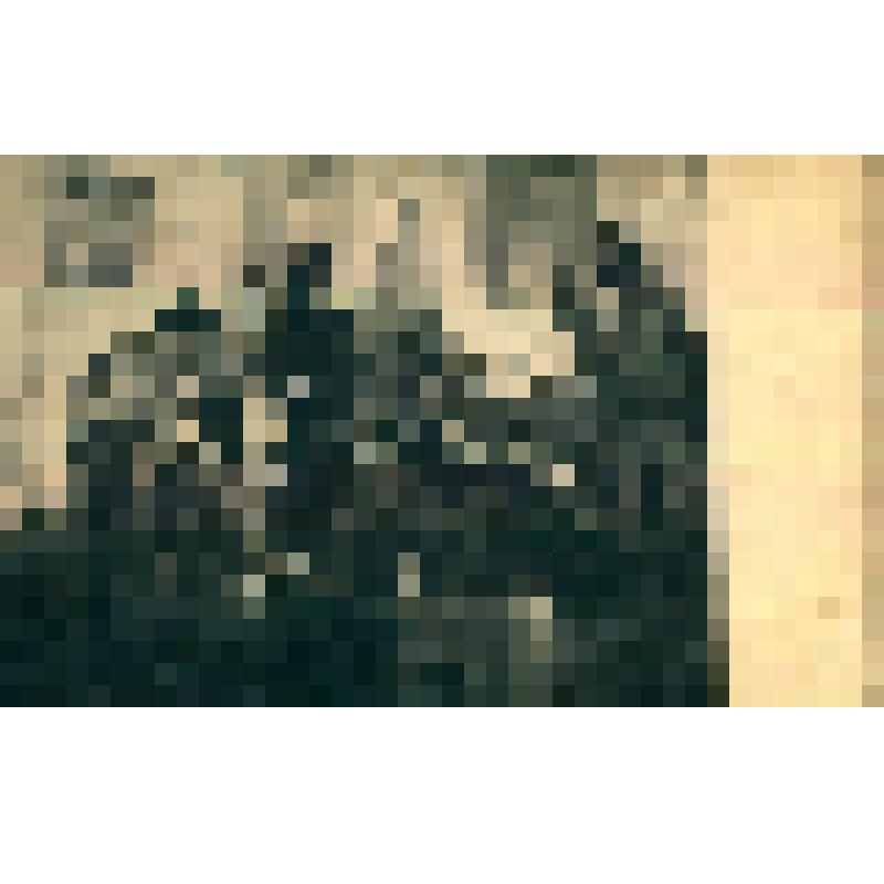 Обыск. Репродукция работы, худ. И. М. Шлуглейт. СПБ Весенняя выставка 1906 г