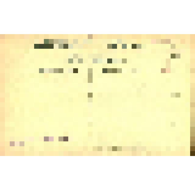 Обыск. Репродукция работы, худ. И. М. Шлуглейт. СПБ Весенняя выставка 1906 г