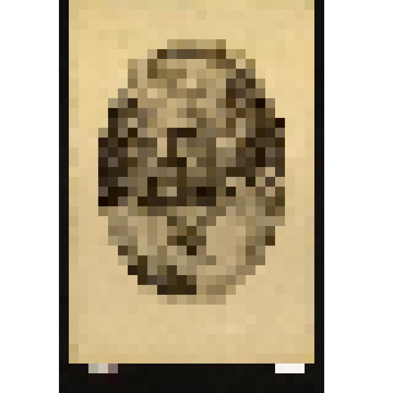 Портрет Хилона, спартанского законодателя