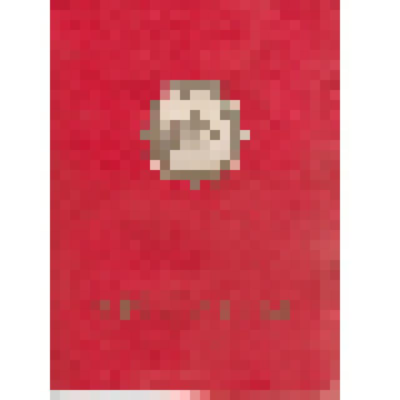 Диплом № 1507, Всесоюзный Совет научно-технических обществ , награждает Первичную организацию НТО Поронайского морского торгового порта,  За успешное выполнение творческих обязательств по ускорению научно-технического прогресса, выдан ВСНТО 29.01.1986 г