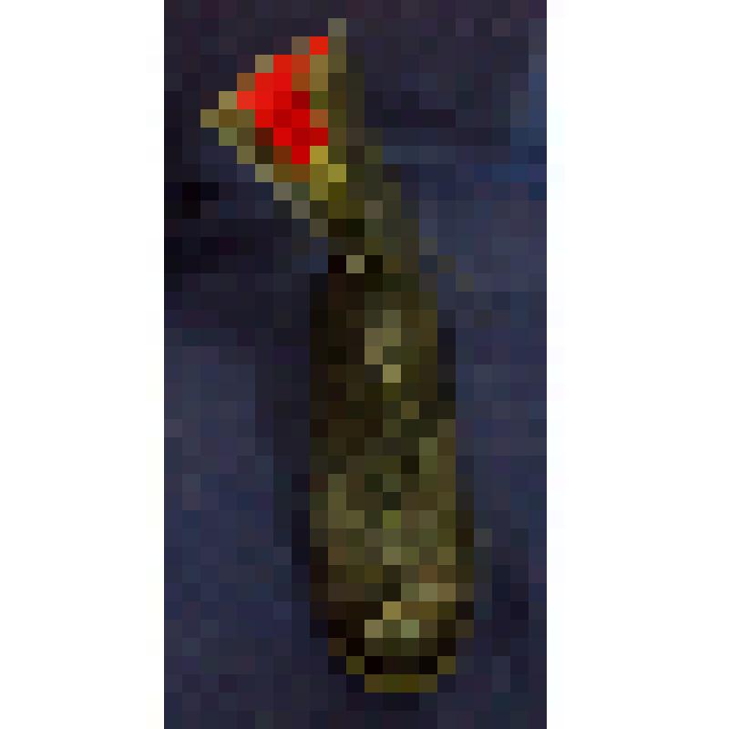 Ботинок женский (левый)