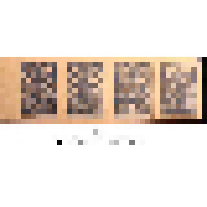 Марок почтовых сцепка. 4 марки, номиналом 35 копеек. Главное Командование Вооруженными Силами Юга России. Генерал Деникин