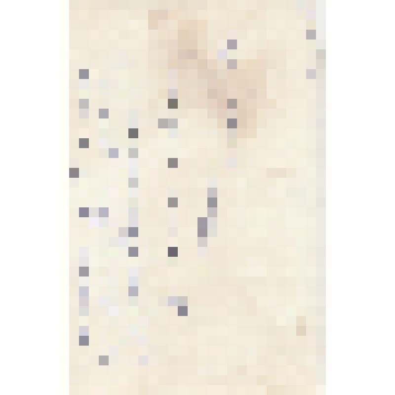 Фотография. Конференция в 10-х классах средней школы № 2 г. Усть-Кута «О Великой Отечественной войне»