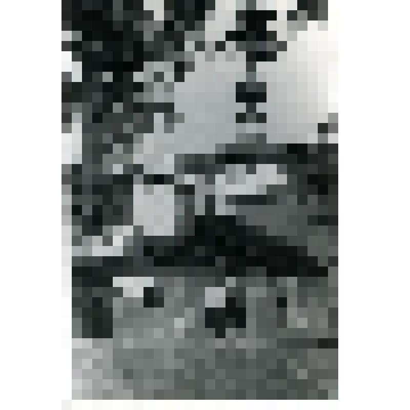 Фотография. Участники [Орловской] научной командировки. Усольский район