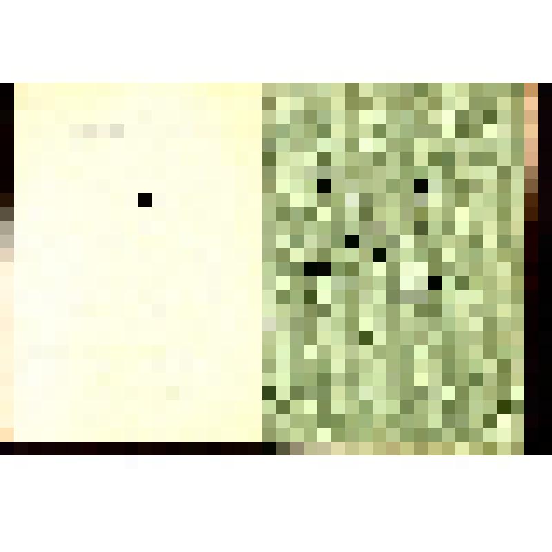 Орденская книжка к ордену «Красной Звезды» серия Ж №261327 от 1967 года Дубцова Андрея Петровича