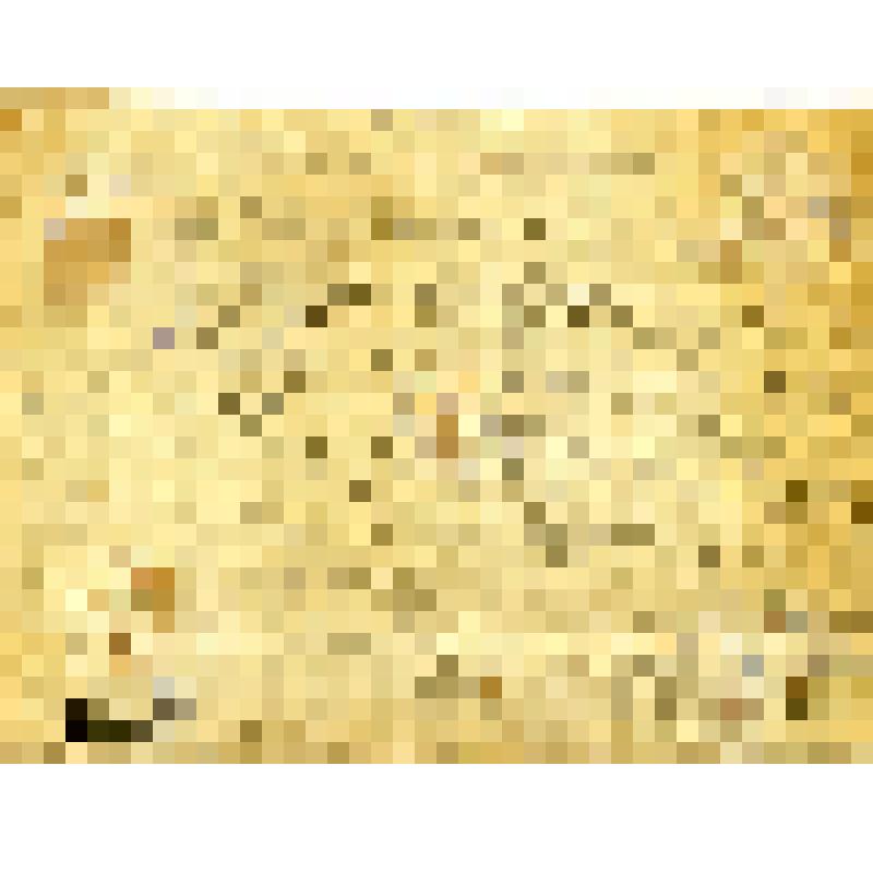 Фото (групповое) на паспарту. Члены исполнительного комитета Асяновской волости