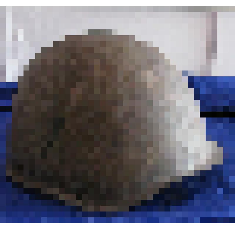 Каска солдатская