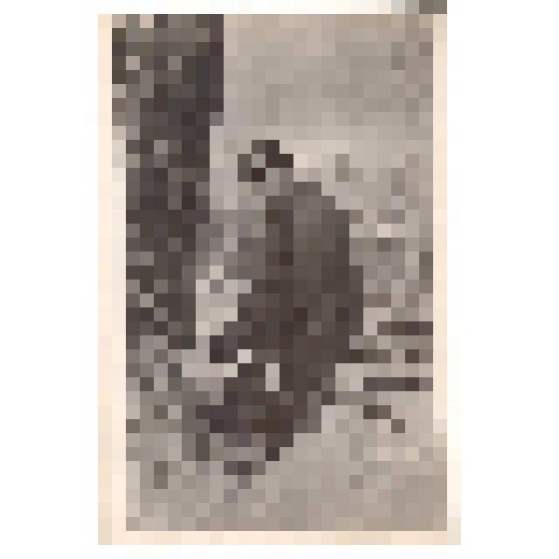 Валка леса с корня