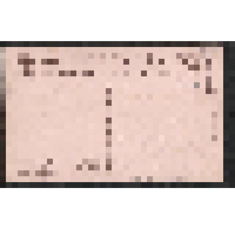 Открытка. Среди голубей. № 390