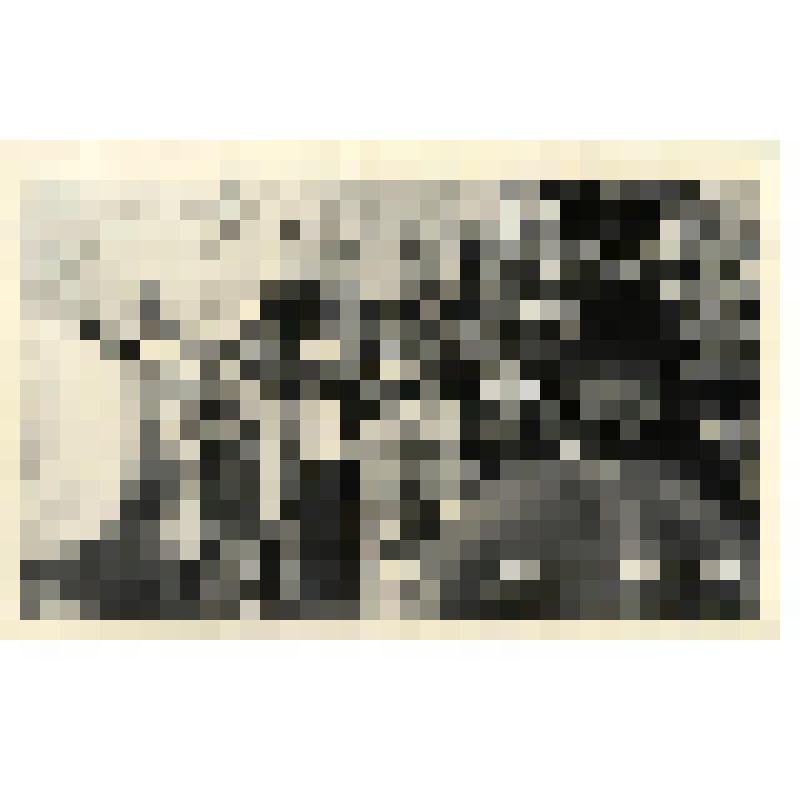 Разные фотографии из жизни школы-интерната, "г. Певек. Школа-интернат. С Новым 1974 годом!" Фотография черно-белая