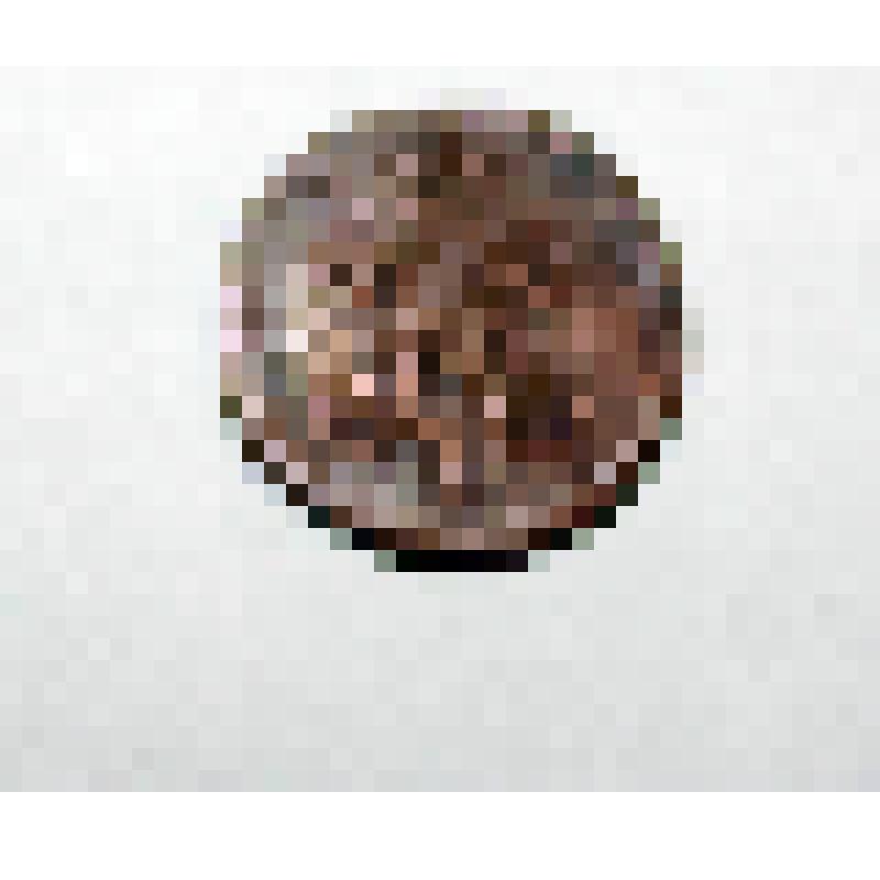 Монета. 1/4 копейки серебром