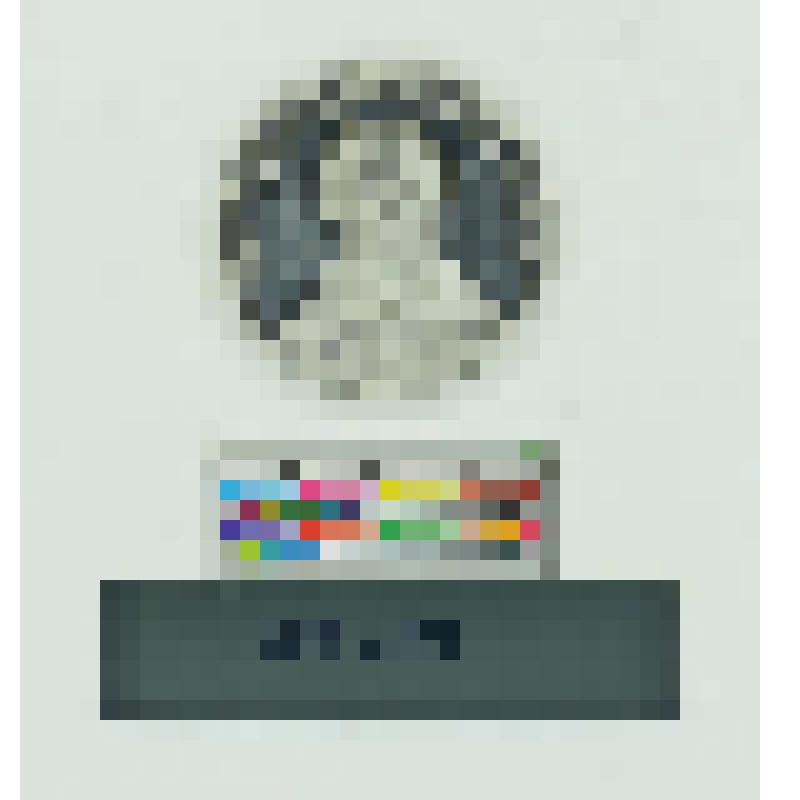 Россия. Медаль. В честь Комиссарова-Костромского