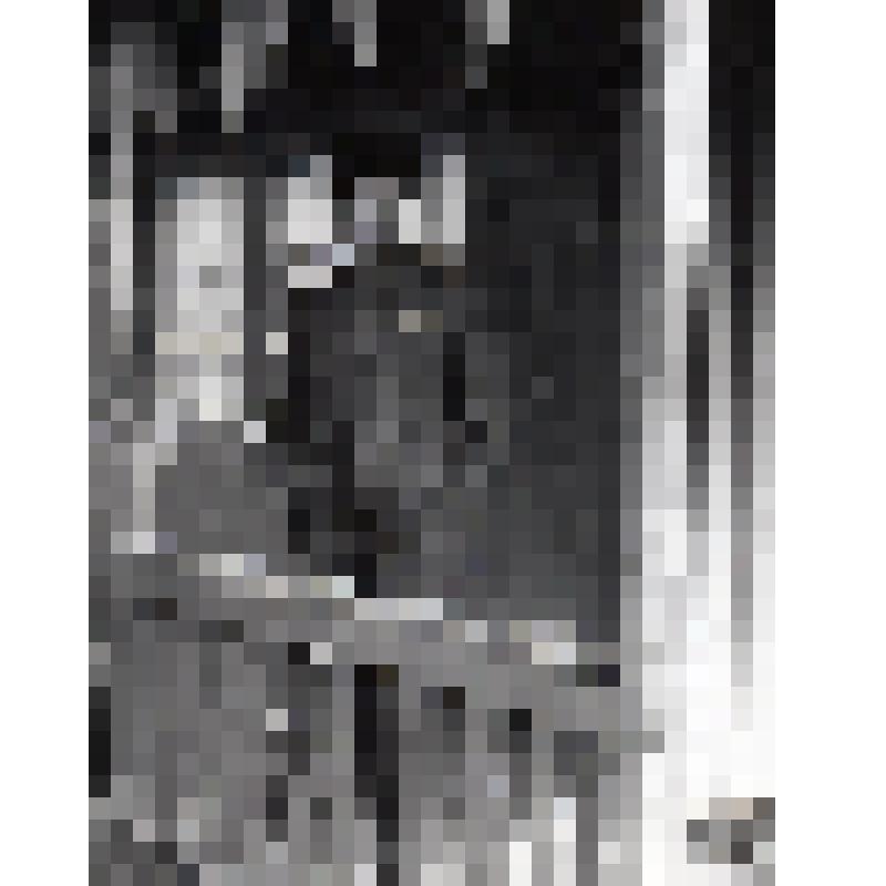 Фотография ч/б (в фотоальбоме). Александров Алексей Никитович. Московская обл., Поварово, 1972 г