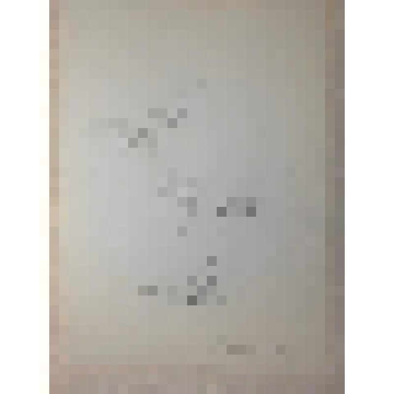 Эскиз куклы. Персонажи "Муравьи". "Из жизни насекомых". Воронеж, Театр кукол «Шут»